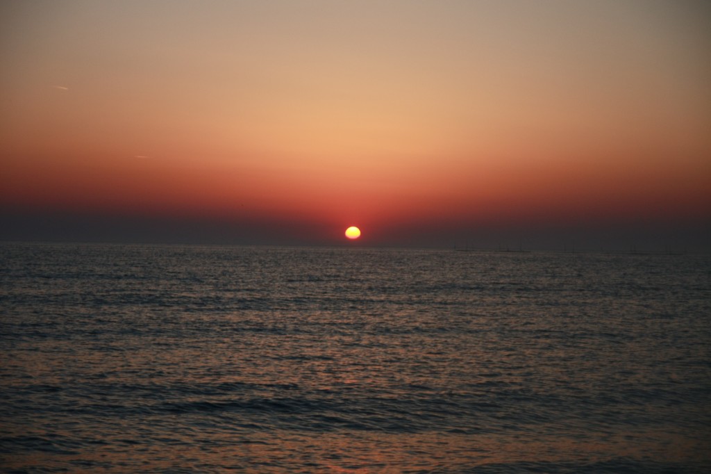 Everything You Wanted to Know About Life