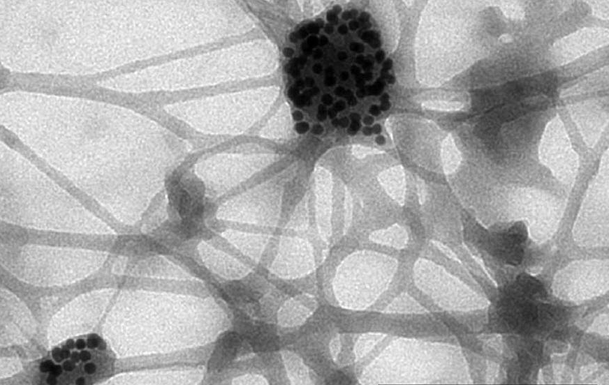 The Signs of Immortality